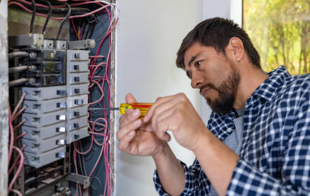 Best Electric Panel Repair  in Cooperstown, NY